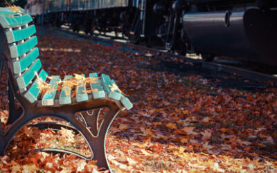 Season of Woe or Wonder: Transitioning to Fall