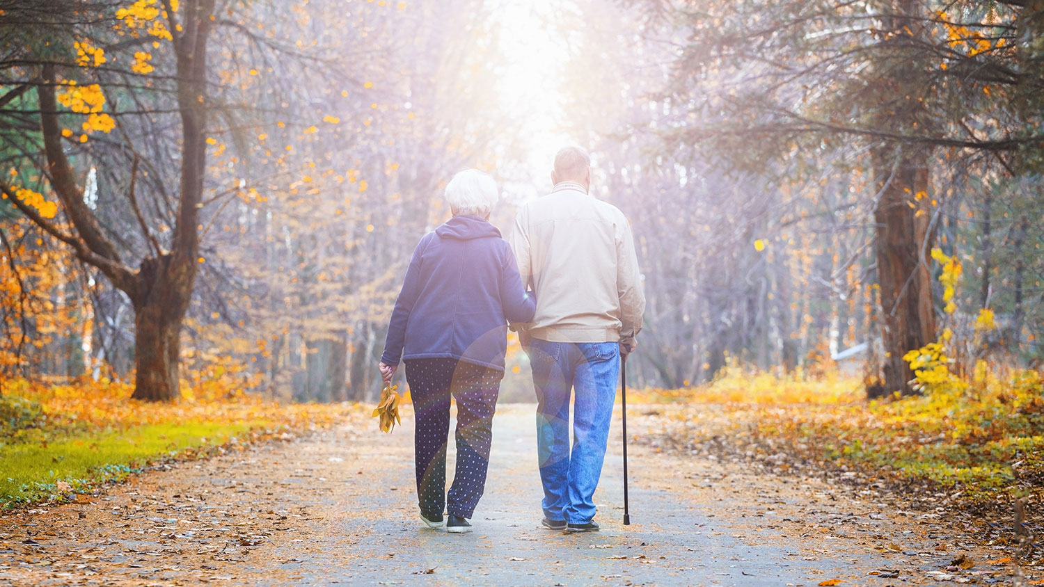 In this touching image, an elderly couple walks hand in hand through a lush canopy of foliage, their backs to the viewer. Their intertwined arms signify a lifetime of support and commitment. This poignant scene evokes the idea of resilience and the enduring nature of love. Just as their strong connection has stood the test of time, so too can couples find renewed hope and harmony through Marriage Counseling in Atlanta, fostering enduring relationships that withstand the challenges of life.